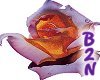 B2N-Animated Rose