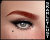 SL Full Brows Ginger1