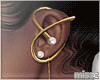 R | Gold earrings