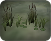 Water Plants addon