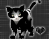 *-*Black&White Cat Pet