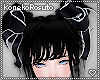 *KR* Holiday Co