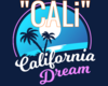 CALIF DREAM PARTICLE