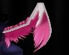 Mid-Night wings 1