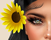 Hair Sunflower R