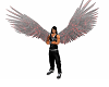 black/red angel wings