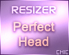Resizer Perfect V1 Head