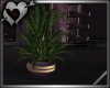 *Cherish Planter 2