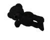 Black Cuddle Couple Bear