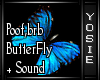 Brb ButterFly + Sound