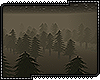 E| Dark Foggy Forest