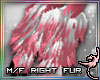 (IR)Love Foxeh:L Fur-R