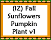 Sunflowers Pumpkin v1