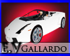 Lamborghini Galardo-Whte
