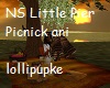 NS Litle Pier Picnick