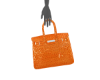 Il Birkin Leather Bag v6