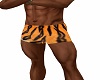 Tiger Swimsuit