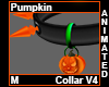 Pumpkin Collar M V4