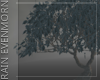 Jaded Ornamental Tree