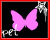 Pink N Black Butterfly