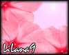*LL* Pink Flower frame