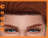 ₢ Ginger Brow M