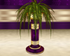 Purple~Gold Furn Plant
