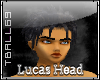 Lucas Head