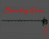 Bleeding Rose
