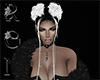 {RGN}Lijan Ash