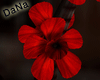 {D}Red Blossom