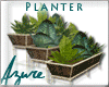 *A* Patio Multi Planter