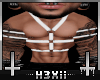 Harness Belt White