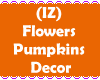 (IZ) Flowers Pumpkins O