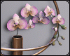 Orchid Wallmount