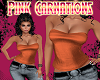 Sexy Copper Corset