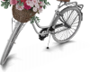 Romantic Flower Bicycle