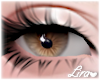 💗 Left Brown Eyes