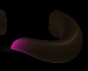 Callie horns