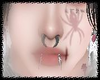 塞夫 Spider