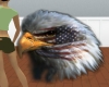 [ML]Eagle/America Flag