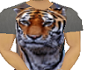 grey t shirt with tiger