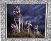 2 Sided Wolf Pictures