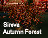 Sireva Autumn Forest 