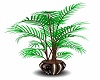ballroom plant