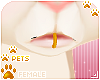 [Pets] Lip ring | gold