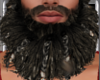 Pirate Beard