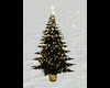 Perfect Christmas Tree