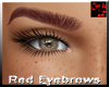 Red Eyebrows 1