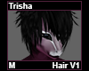 Trisha Hair M V1
